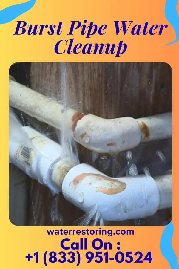 Burst Pipe Water Cleanup in Marine on St. Croix, MN